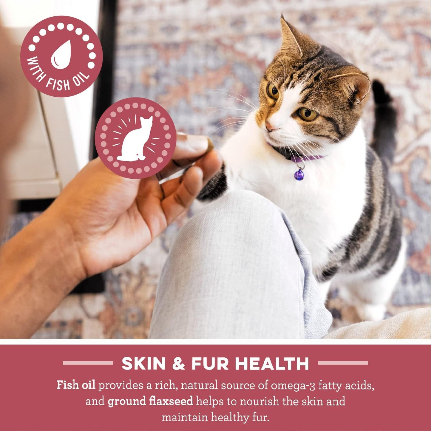 FELINE SMARTBITES Skin & Fur Health Crunchy and Soft Natural Cat Treats, Salmon Flavor, 4.6 Oz. Pack