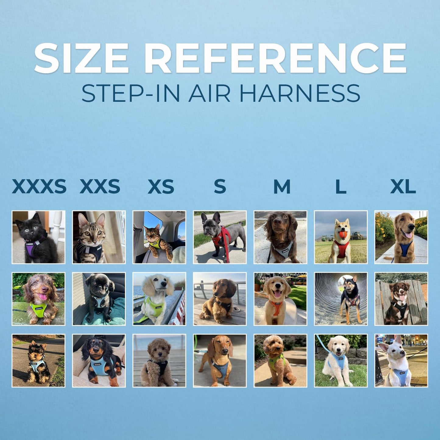 Voyager Step-In Air Dog Harness - All Weather Mesh, Reflective, No Pull Harness for Small, Medium Dogs, Cats - Secure with Hook & Loop Fastener, Buckle, Double D-Rings - Blue/Black Trim, XS