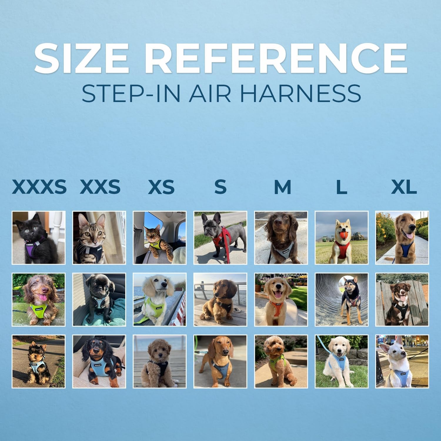 Voyager Step-In Air Dog Harness - All Weather Mesh, Reflective, No Pull Harness for Small, Medium Dogs, Cats - Secure with Hook & Loop Fastener, Buckle, Double D-Rings - Blue/Black Trim, XS