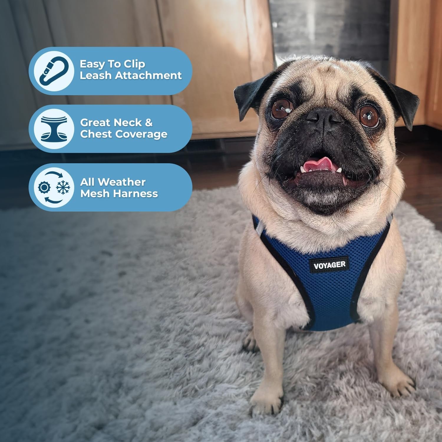 Voyager Step-In Air Dog Harness - All Weather Mesh, Reflective, No Pull Harness for Small, Medium Dogs, Cats - Secure with Hook & Loop Fastener, Buckle, Double D-Rings - Blue/Black Trim, XS